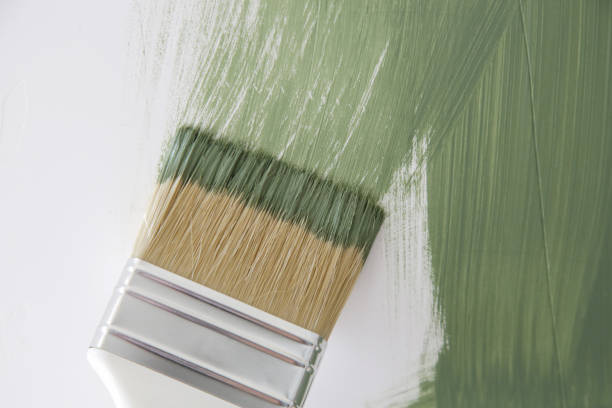 Best Water Damage & Mold Remediation  in Norton, OH