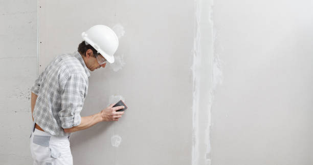 Best Mold Removal for HVAC Installations  in Norton, OH
