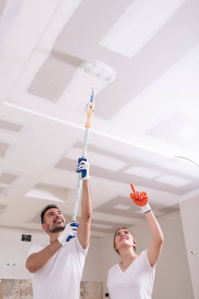 Best Attic Mold Removal  in Norton, OH