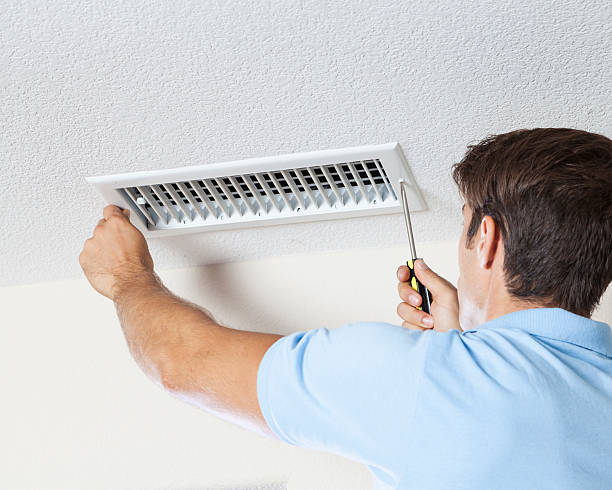  Norton, OH Mold Removal Pros